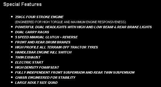 Rogue250ccFeatures